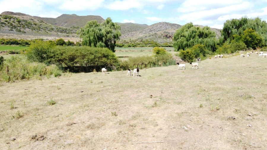 Commercial Property for Sale in Oudtshoorn Rural Western Cape